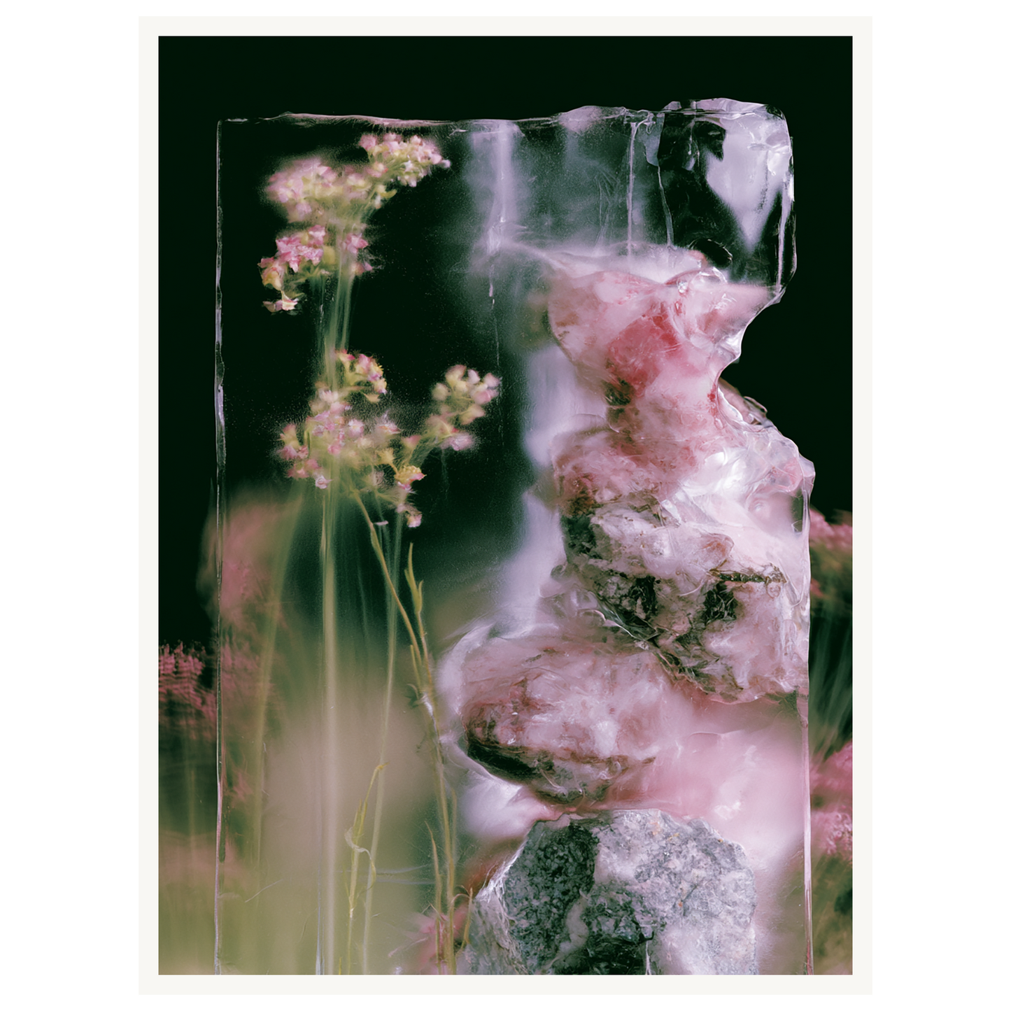 Frozen Whisper — s1_poster_none