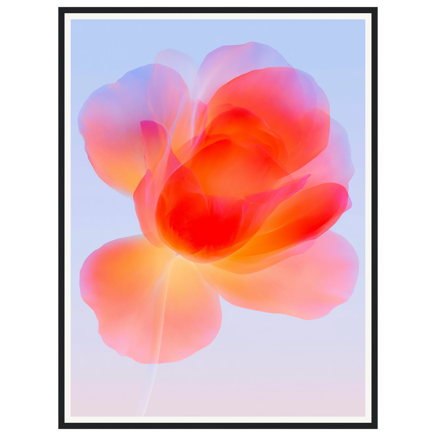 Gentle Bloom — s2_framed_black