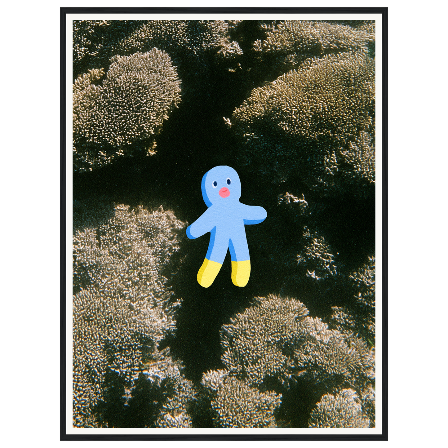 Ocean Wonder — s2_framed_black