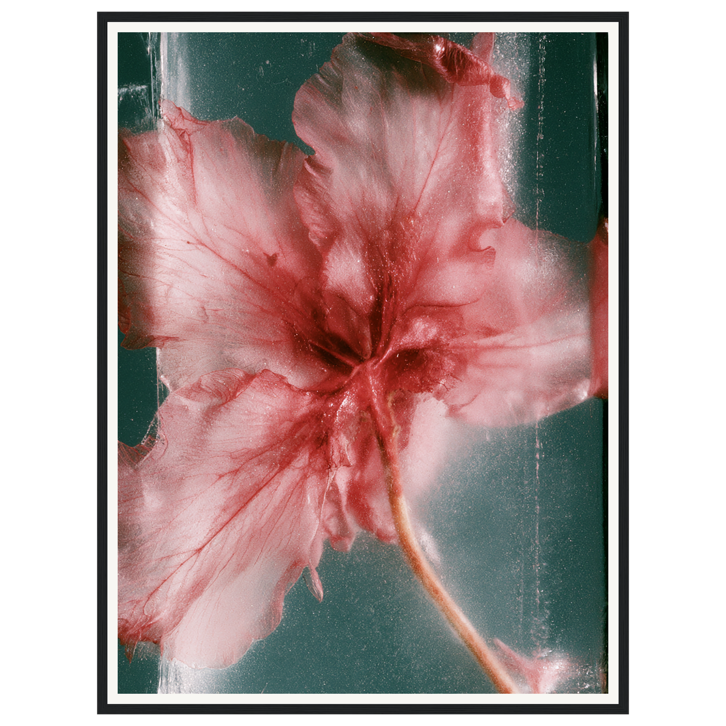 Wild Heart — s2_framed_black