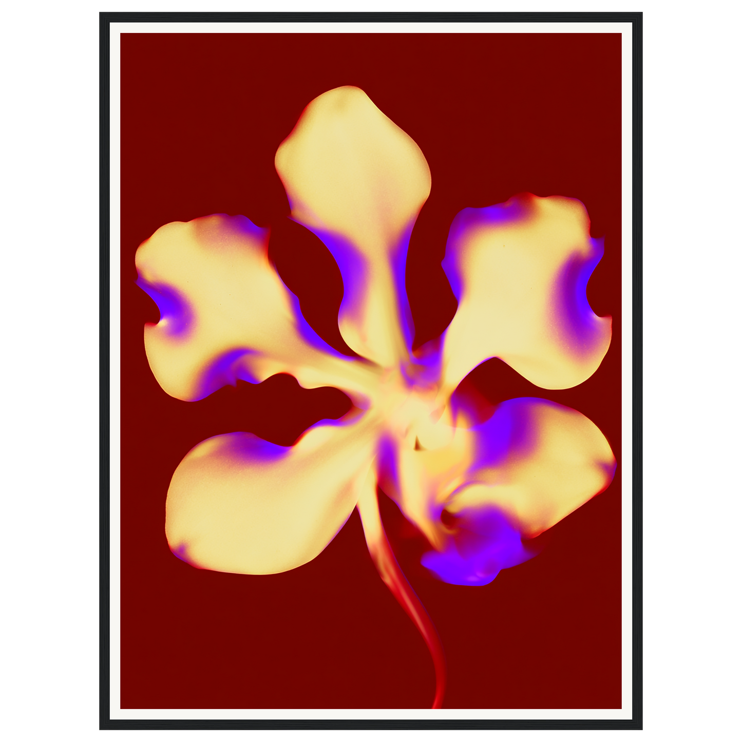 Golden Petal — s2_framed_black