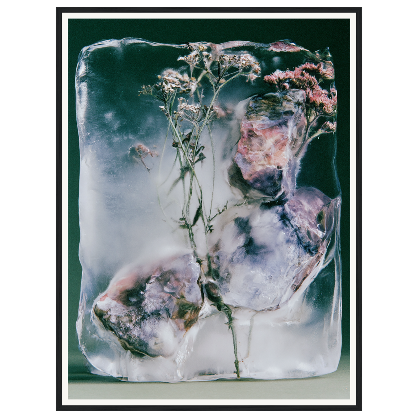 Winter Bloom — s2_framed_black
