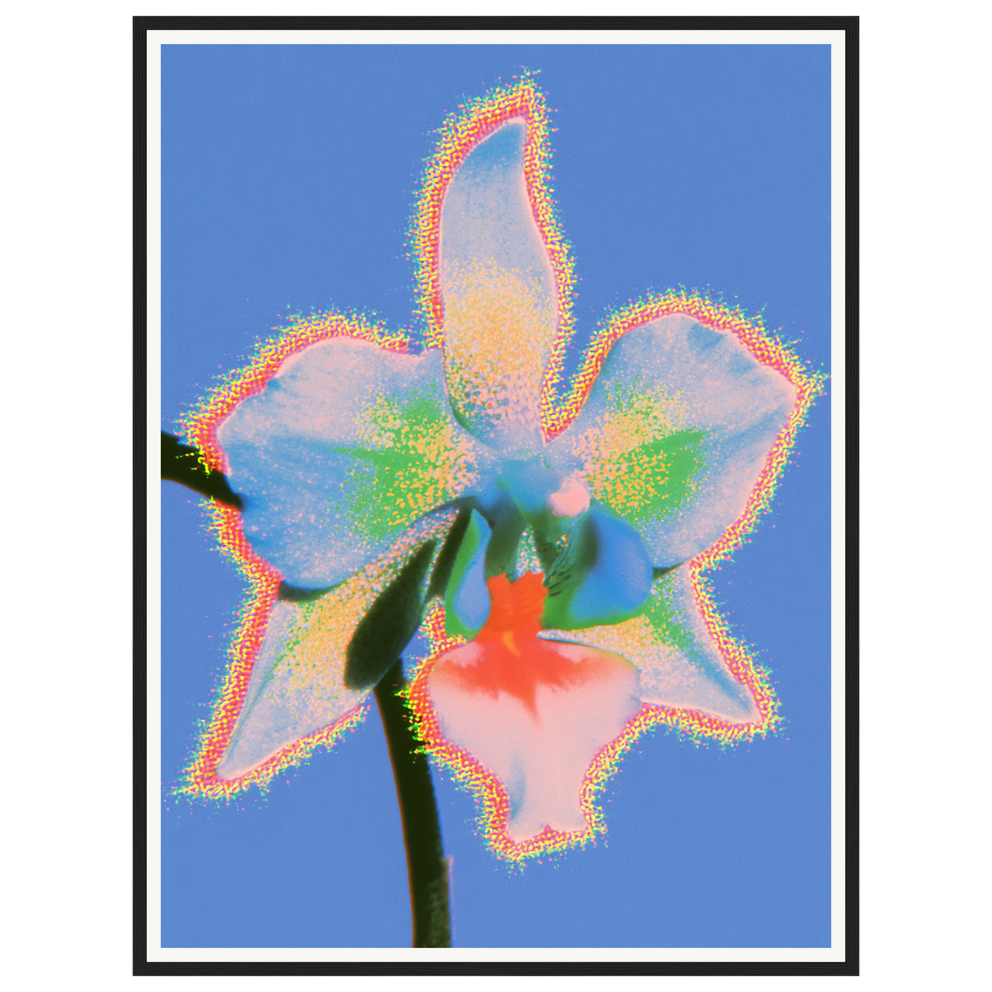 Pure Light — s2_framed_black