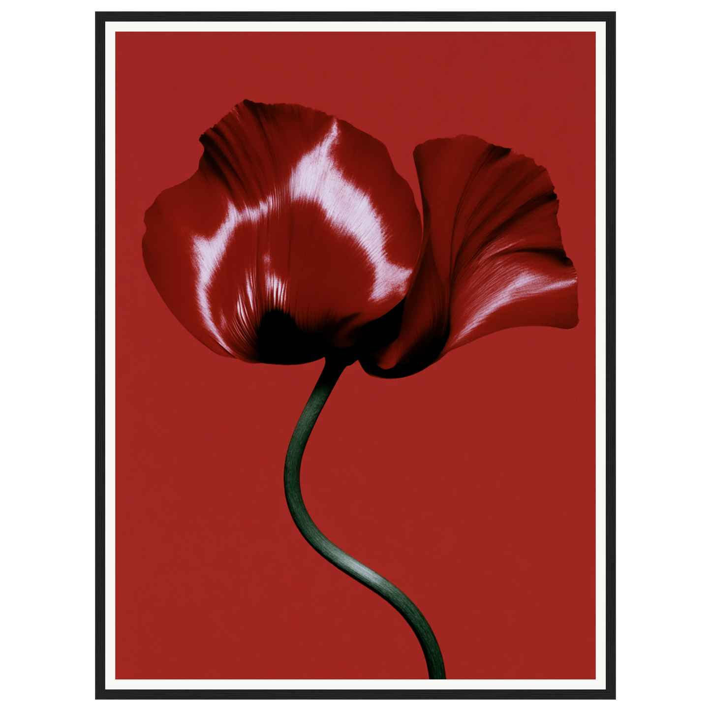 Velvet Poppy — s2_framed_black