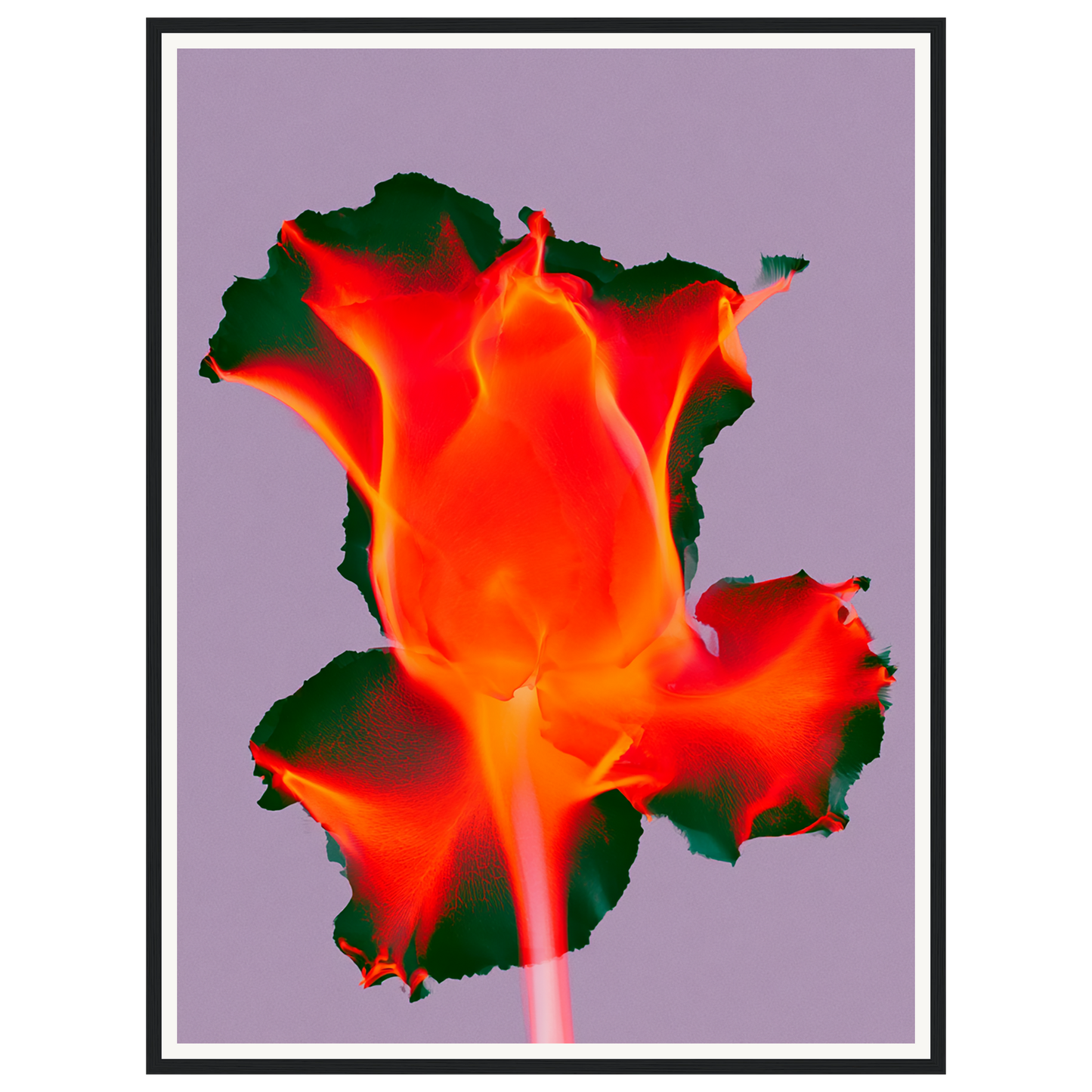 Ruby Glow — s2_framed_black