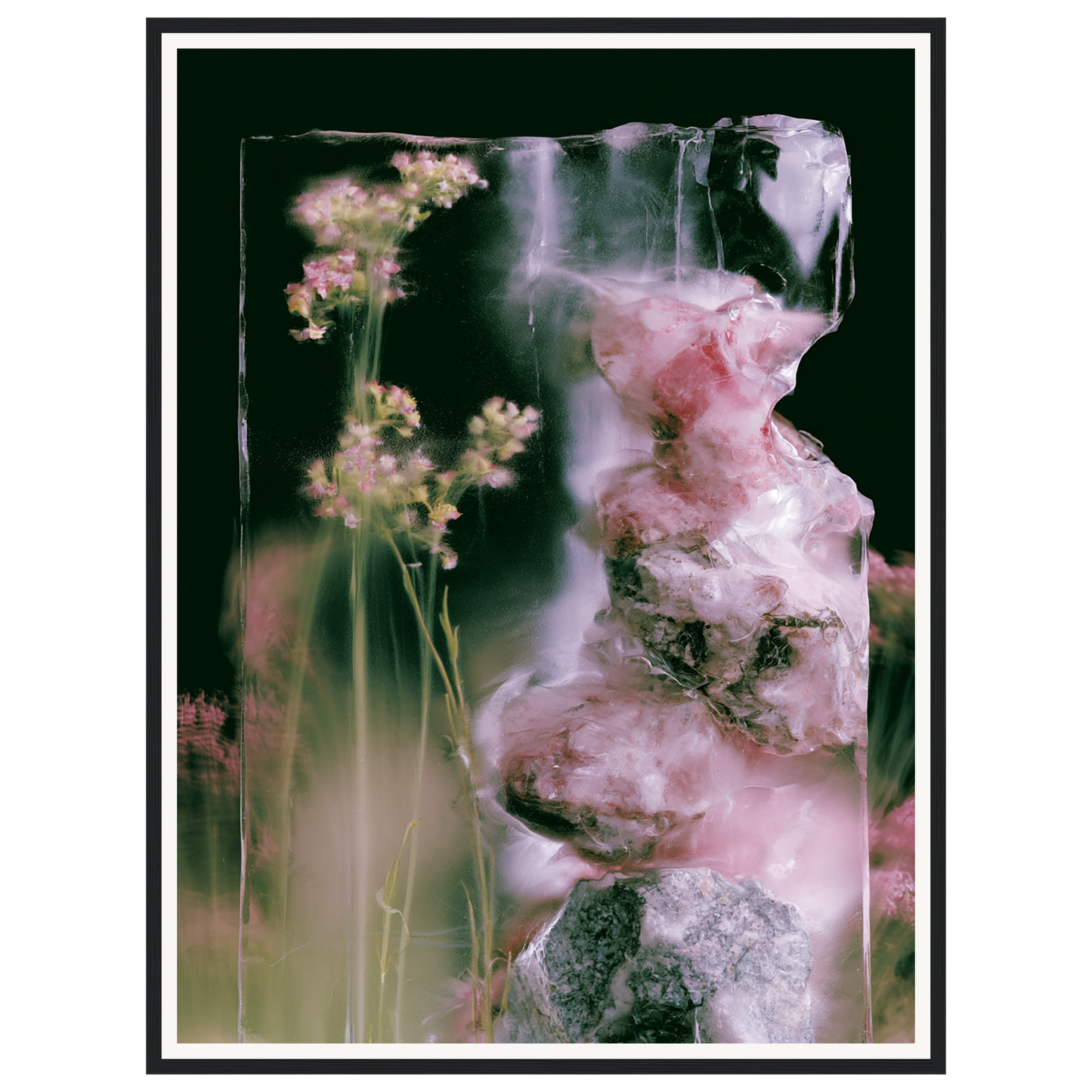 Frozen Whisper — s2_framed_black