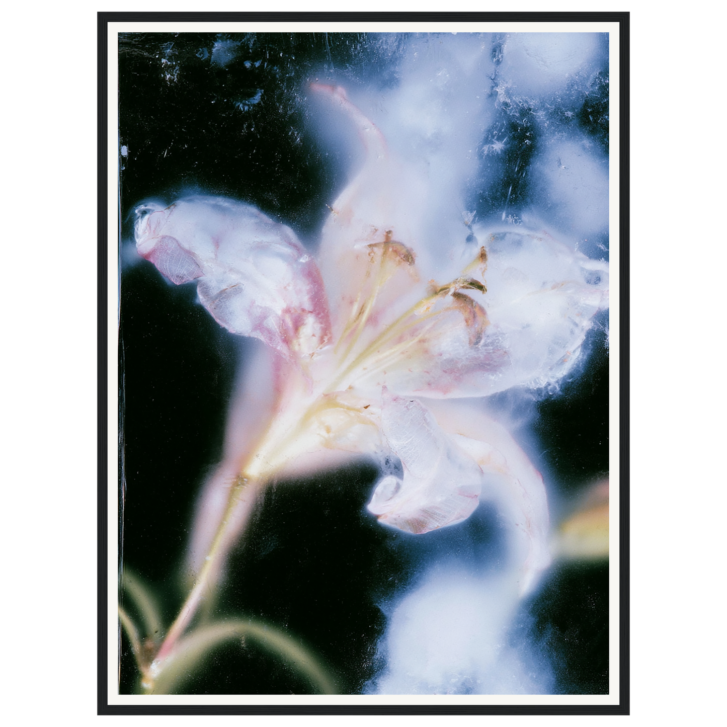 Soft Light — s2_framed_black