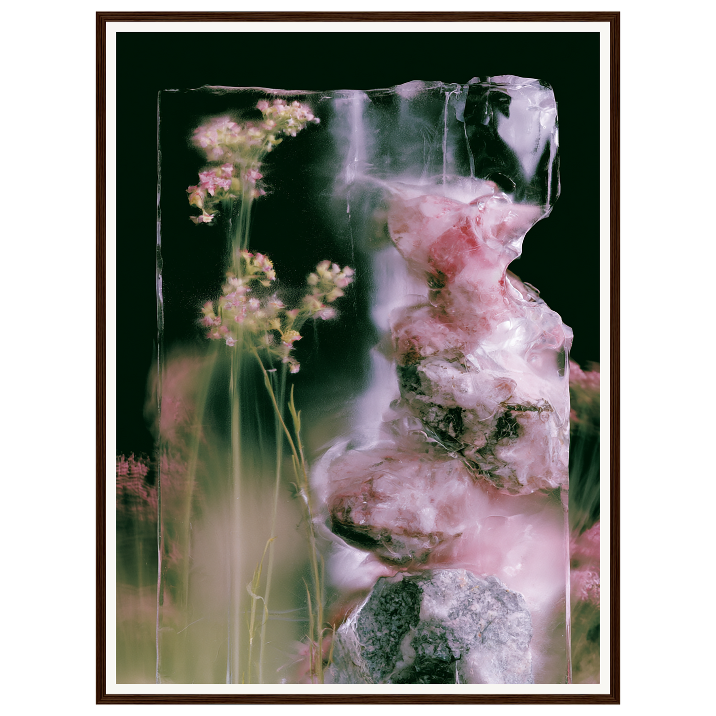 Frozen Whisper — s2_framed_dark_wood