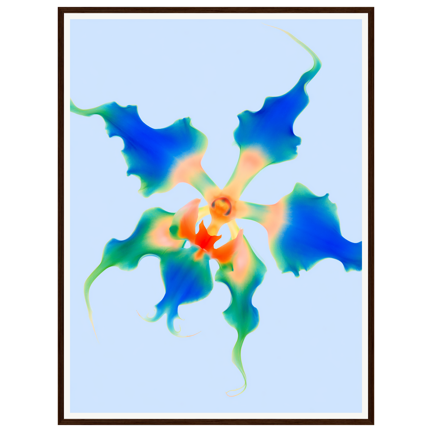 Ocean Bloom — s2_framed_dark_wood