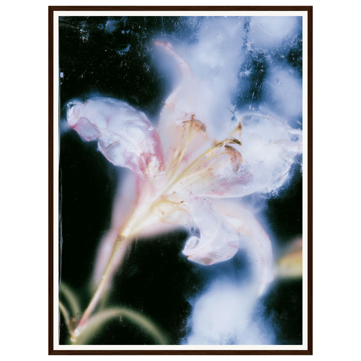 Soft Light — s2_framed_dark_wood