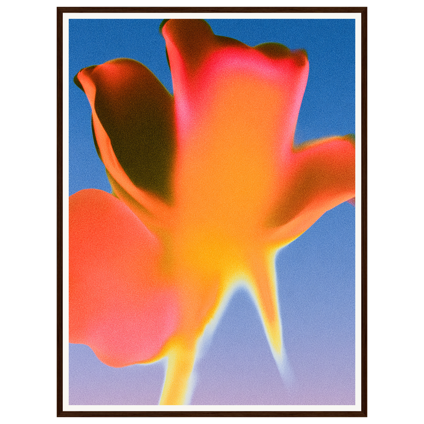 Sunset Glow — s2_framed_dark_wood
