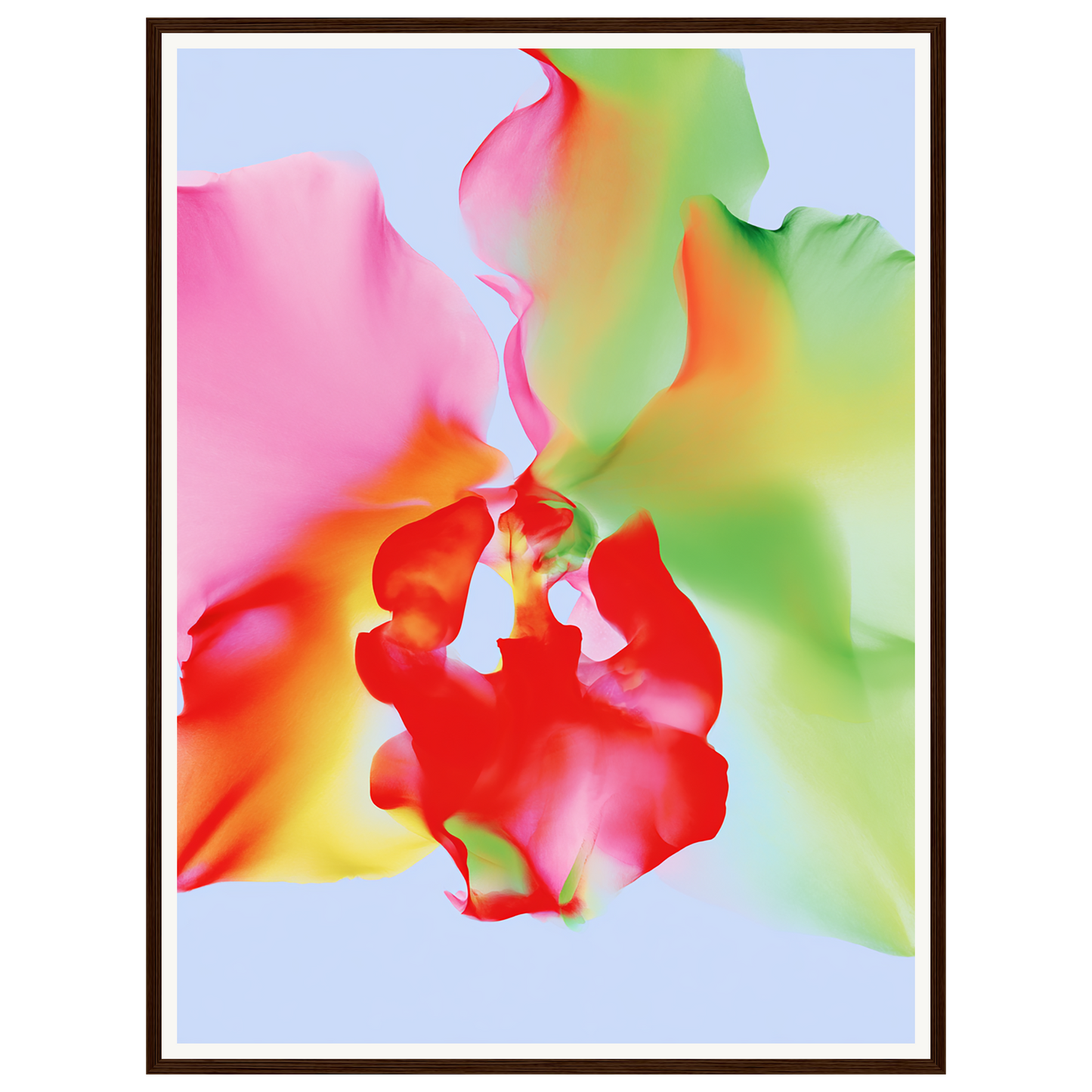 Soft Chaos — s2_framed_dark_wood