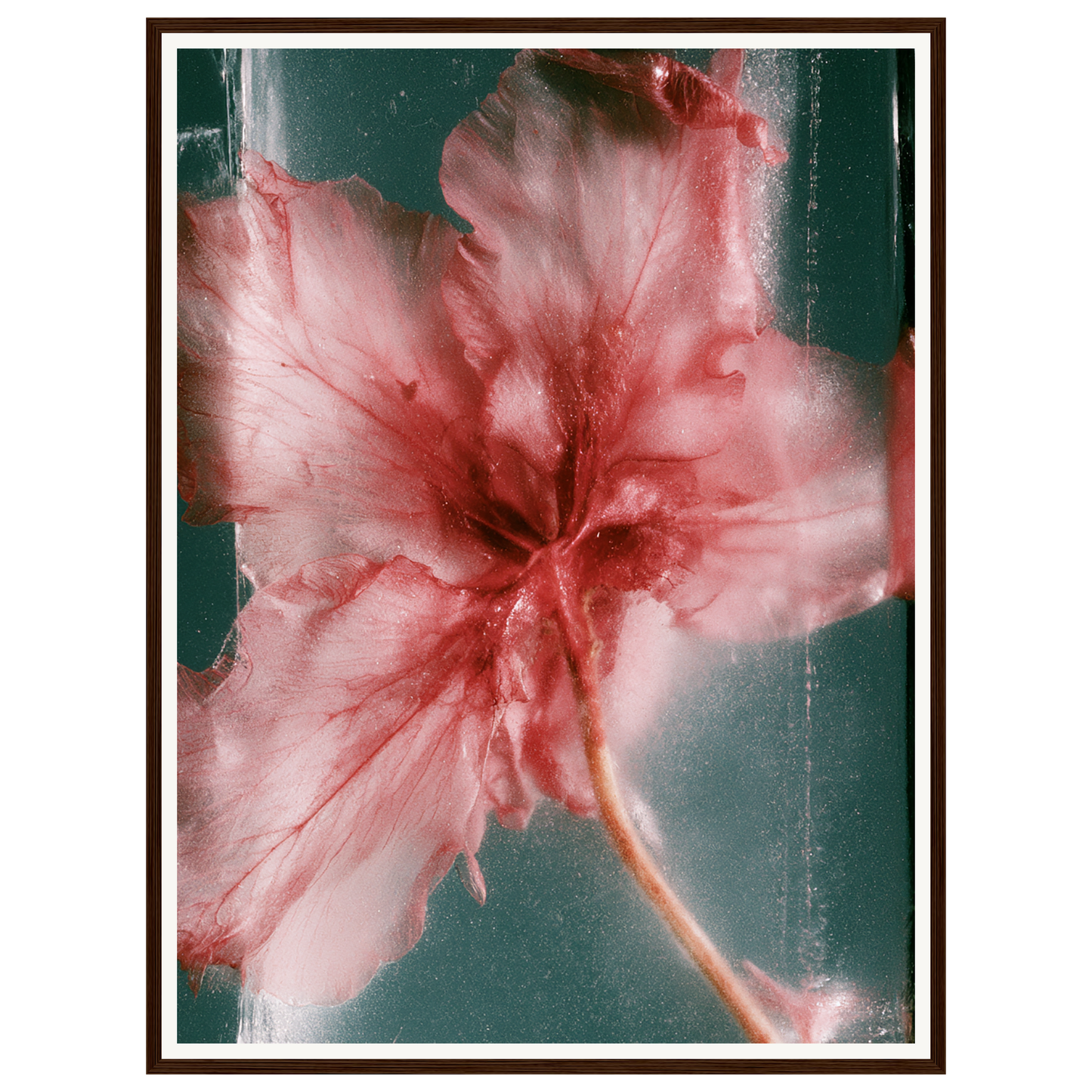 Wild Heart — s2_framed_dark_wood