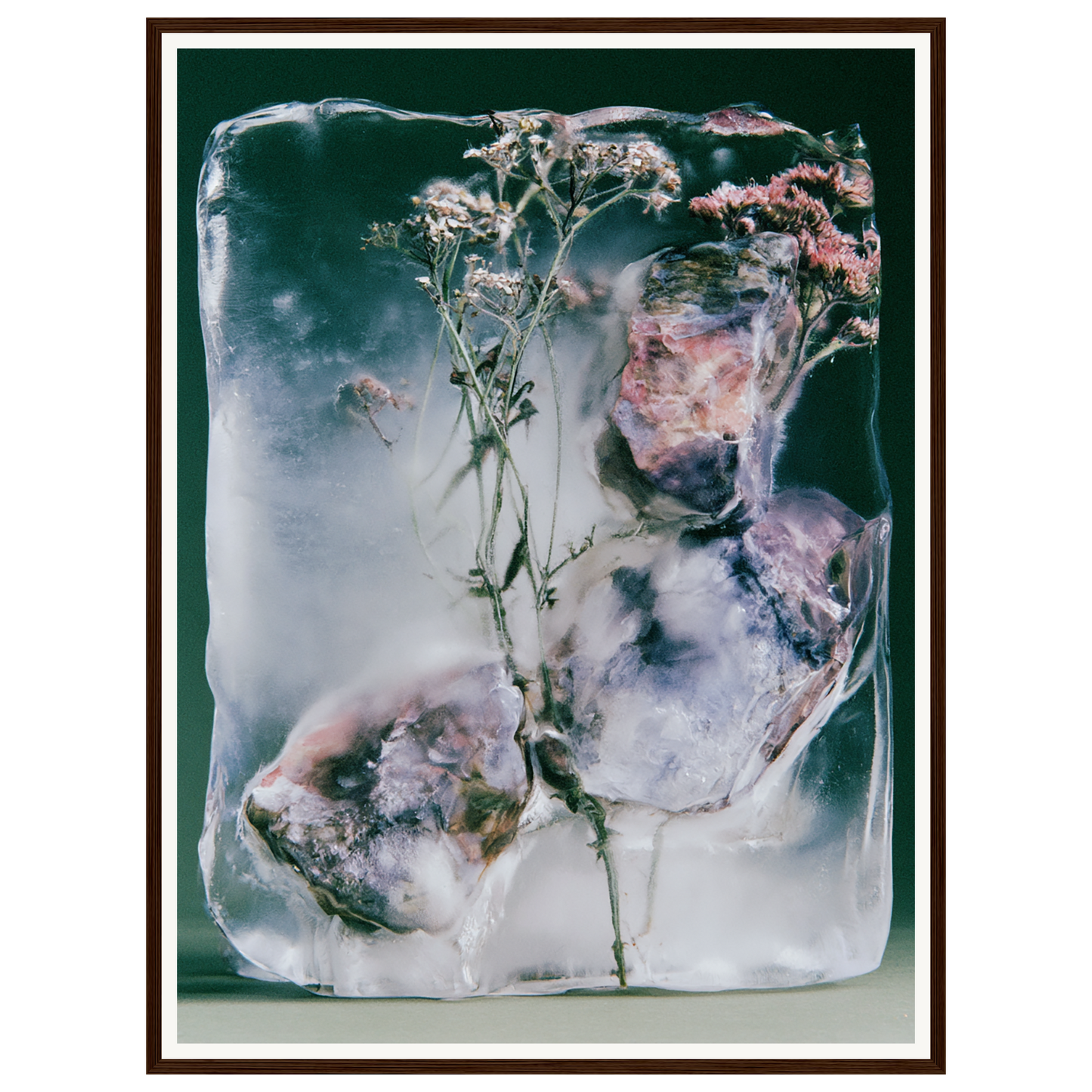 Winter Bloom — s2_framed_dark_wood
