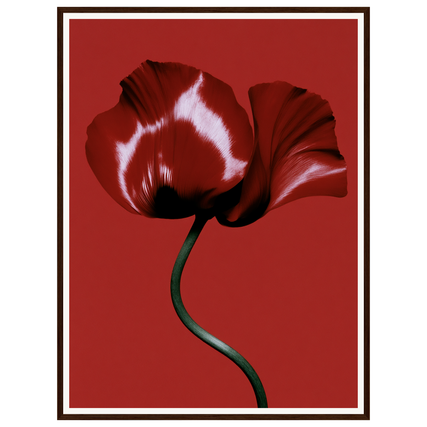 Velvet Poppy — s2_framed_dark_wood