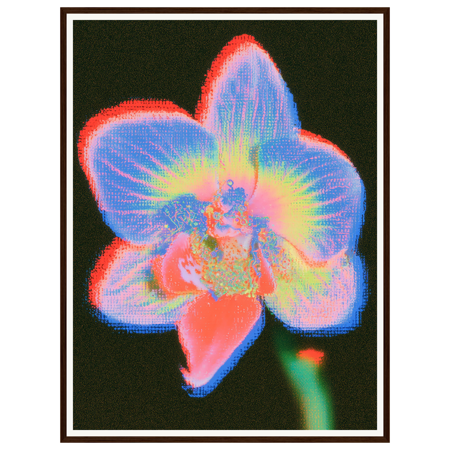 Radiant Orchid — s2_framed_dark_wood