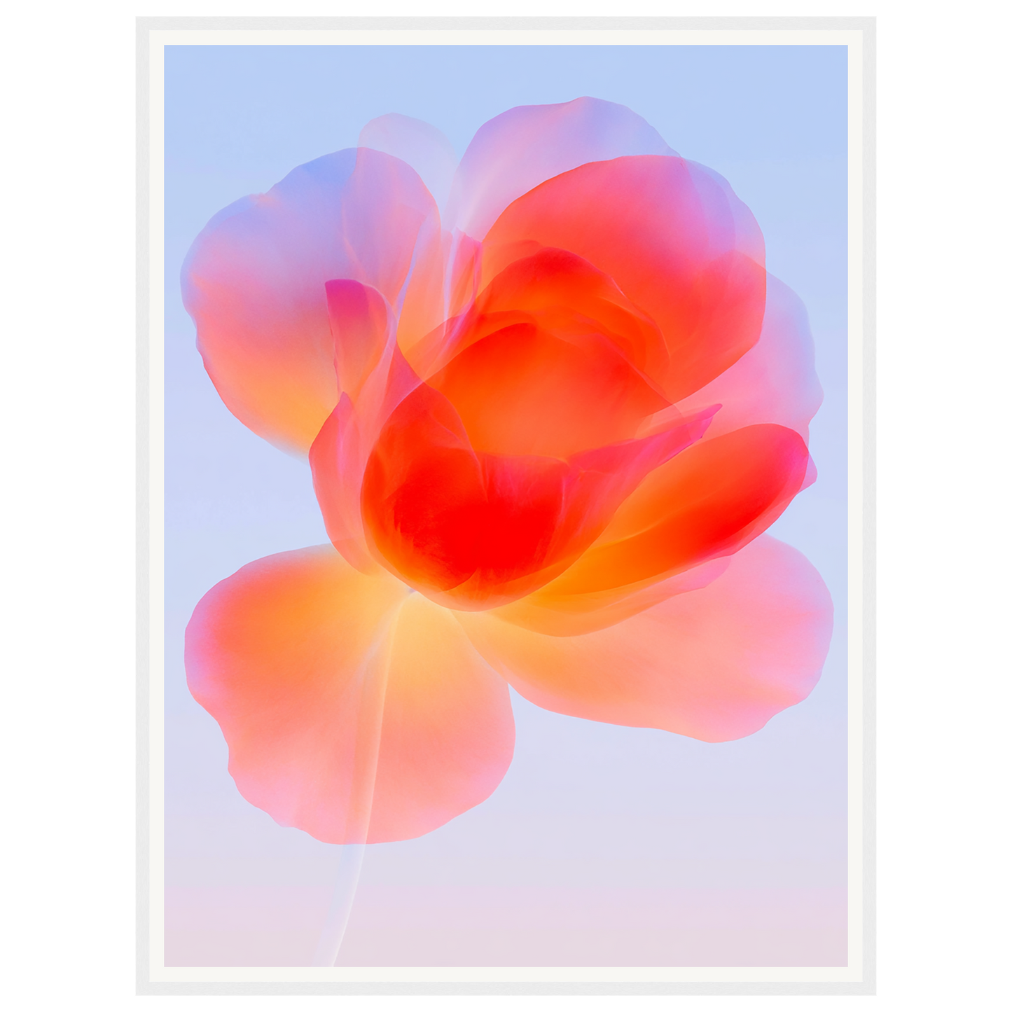 Gentle Bloom — s2_framed_white
