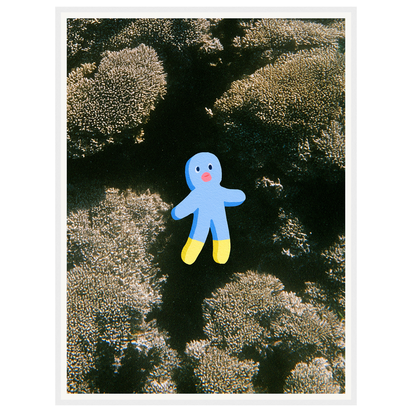 Ocean Wonder — s2_framed_white