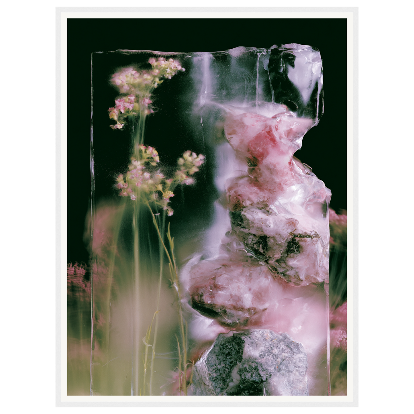 Frozen Whisper — s2_framed_white