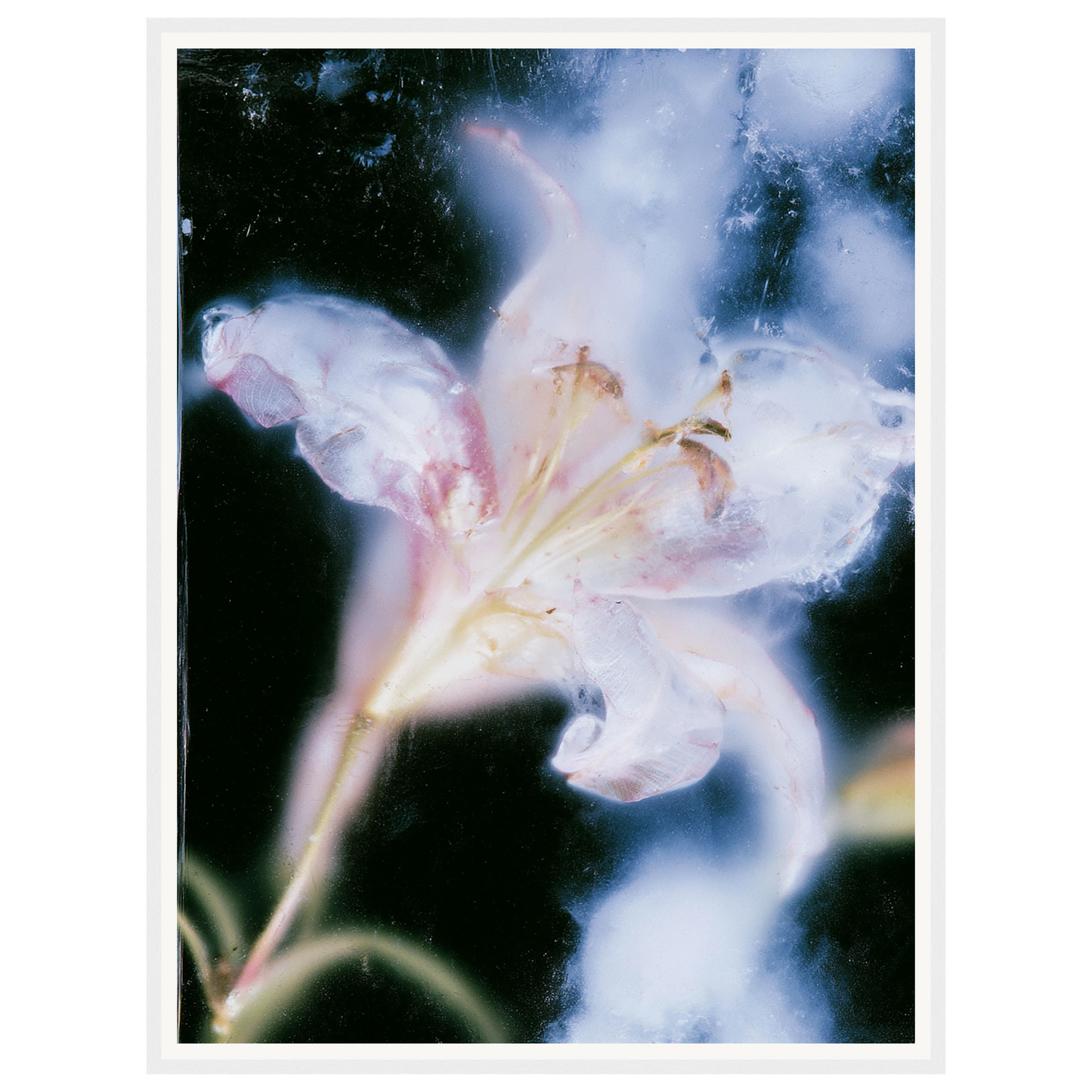 Soft Light — s2_framed_white