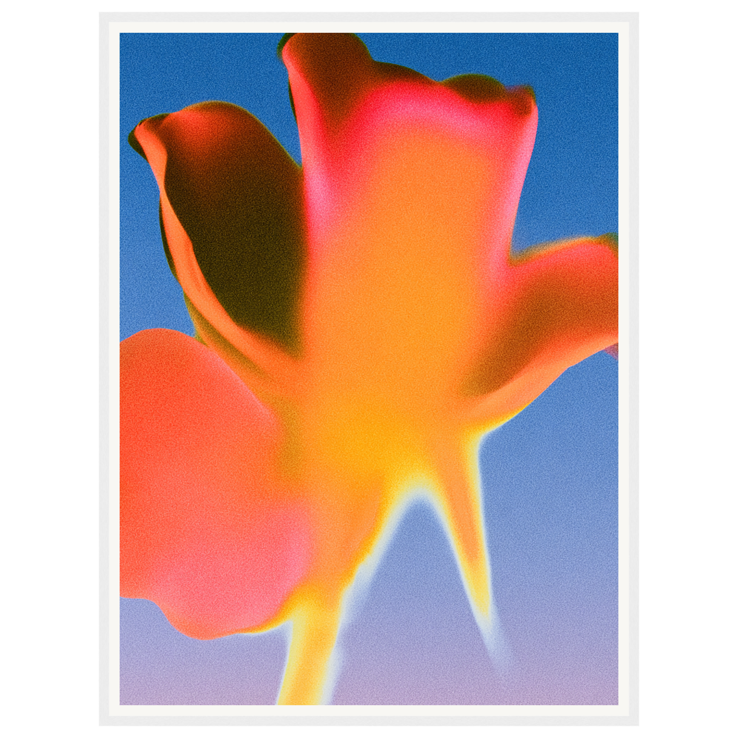 Sunset Glow — s2_framed_white