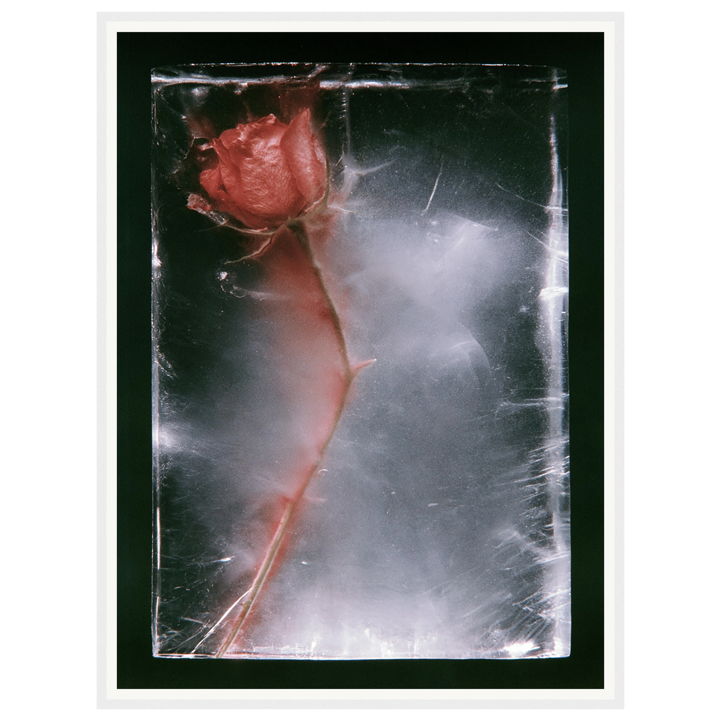 Quiet Fade — s2_framed_white