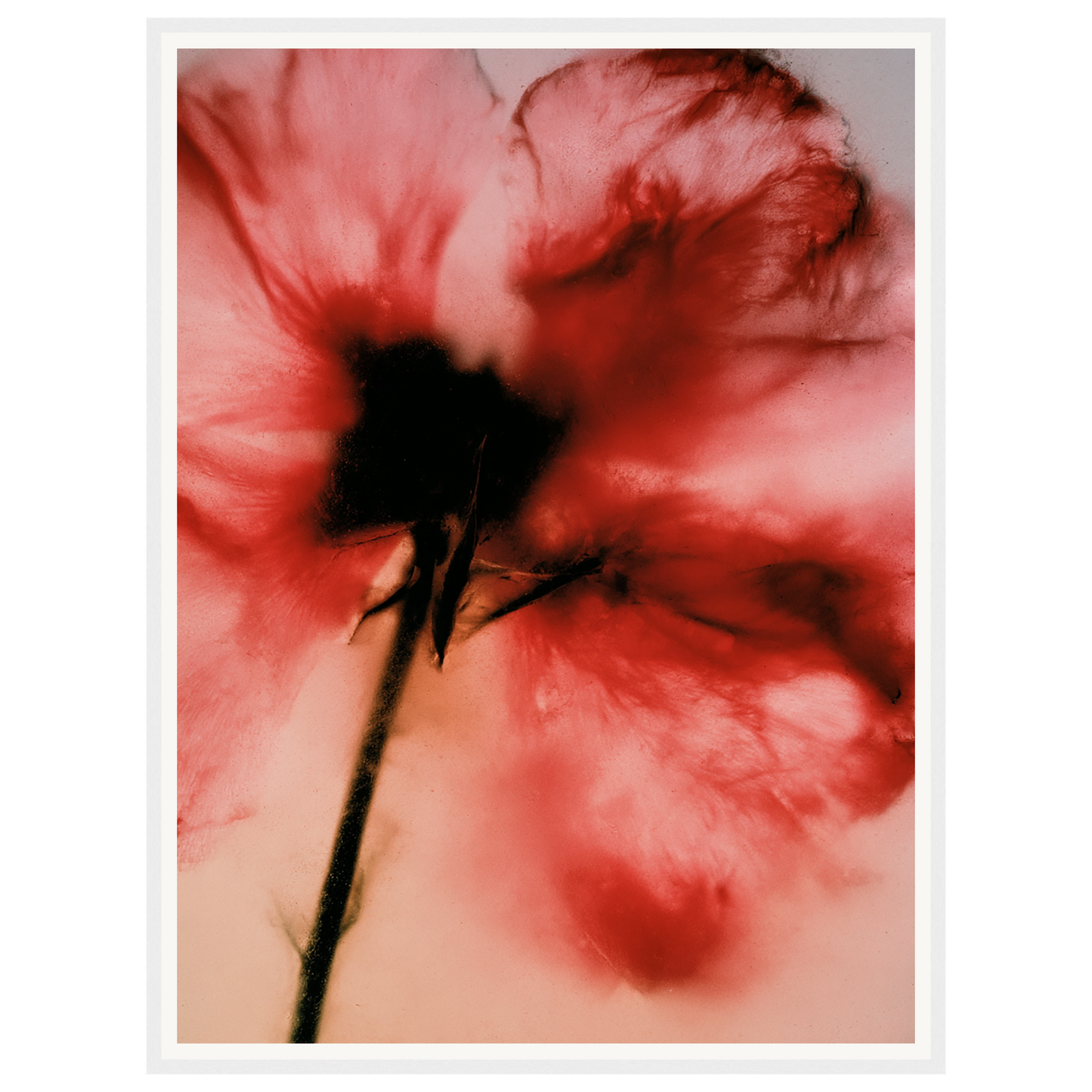 Crimson Whisper — s2_framed_white