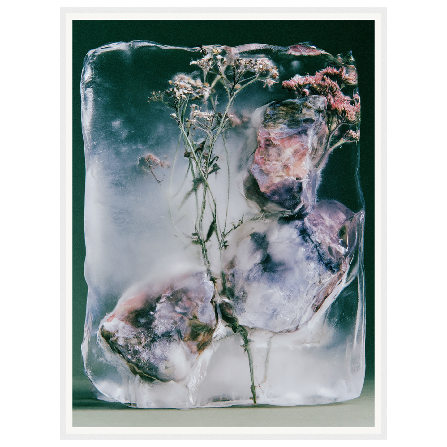 Winter Bloom — s2_framed_white