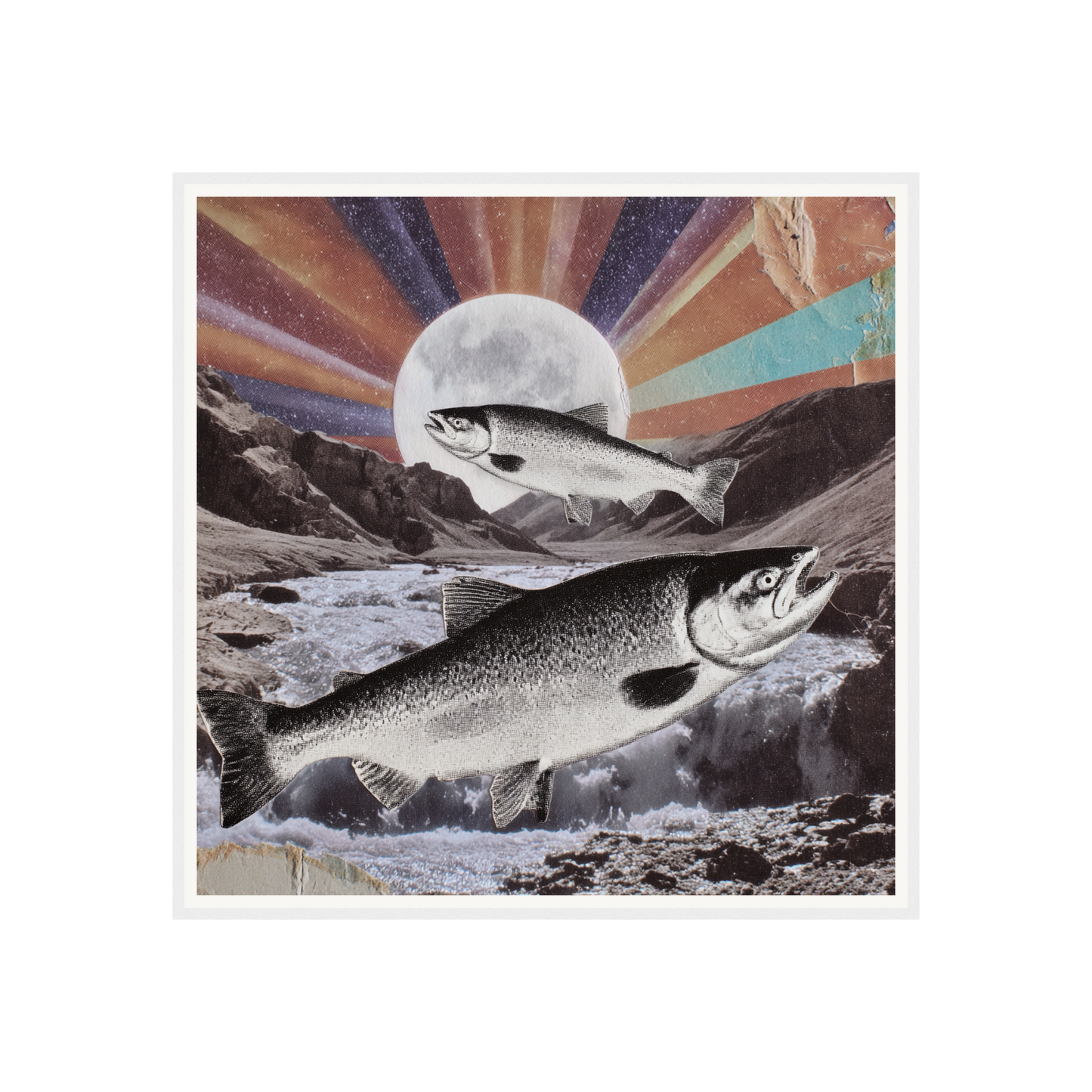 Wild Current — s2_framed_white