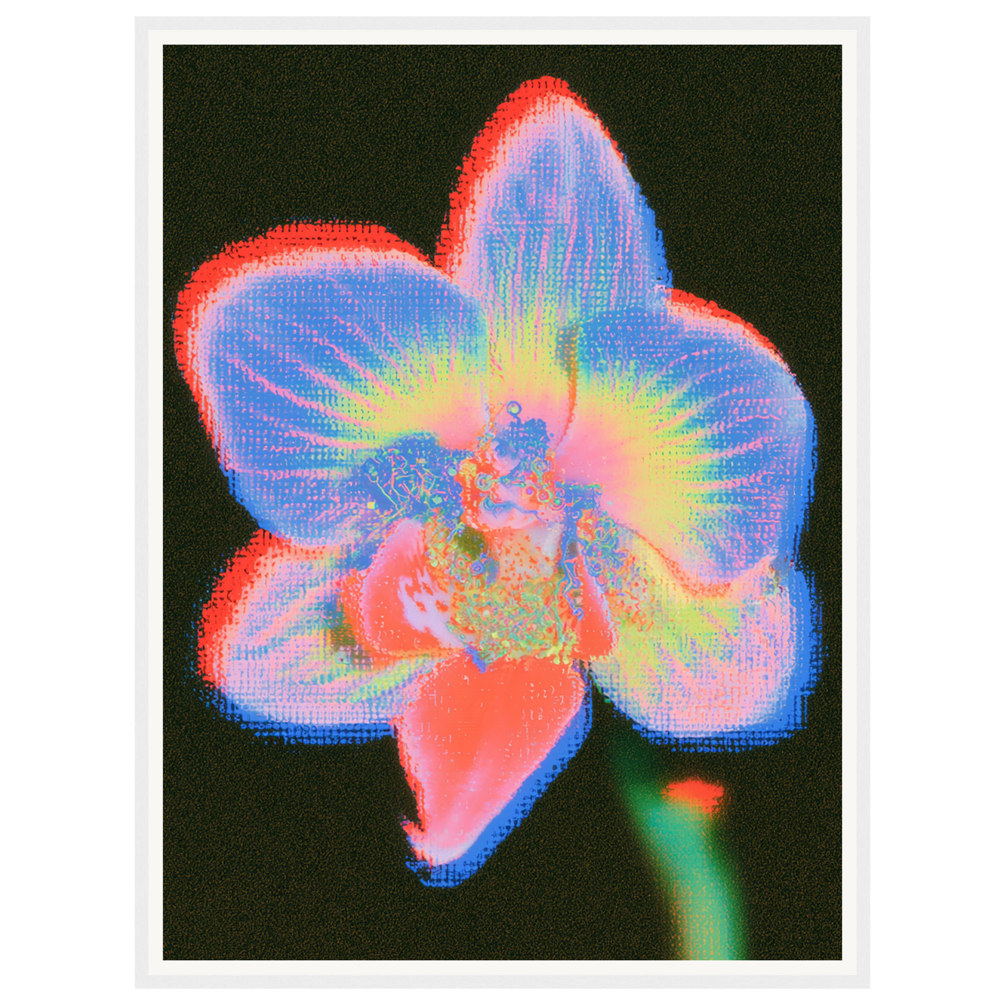 Radiant Orchid — s2_framed_white