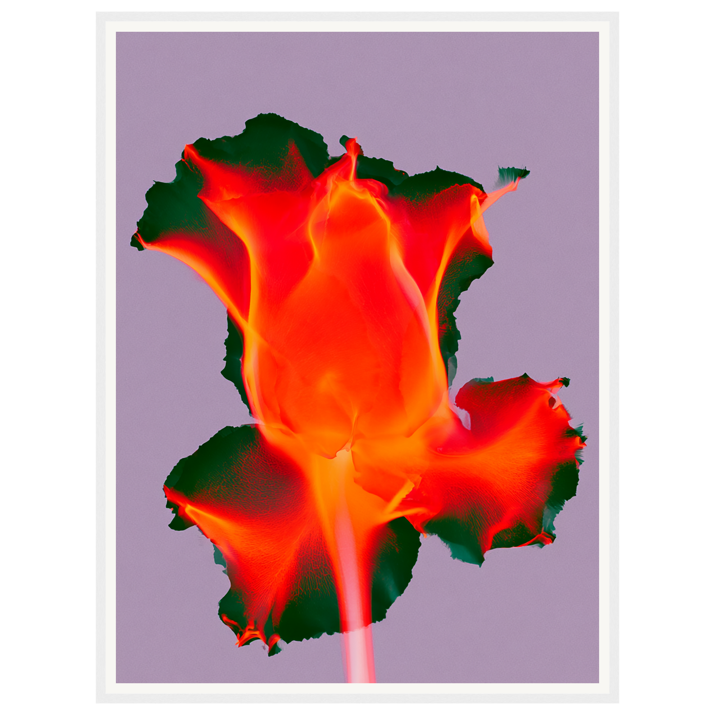 Ruby Glow — s2_framed_white