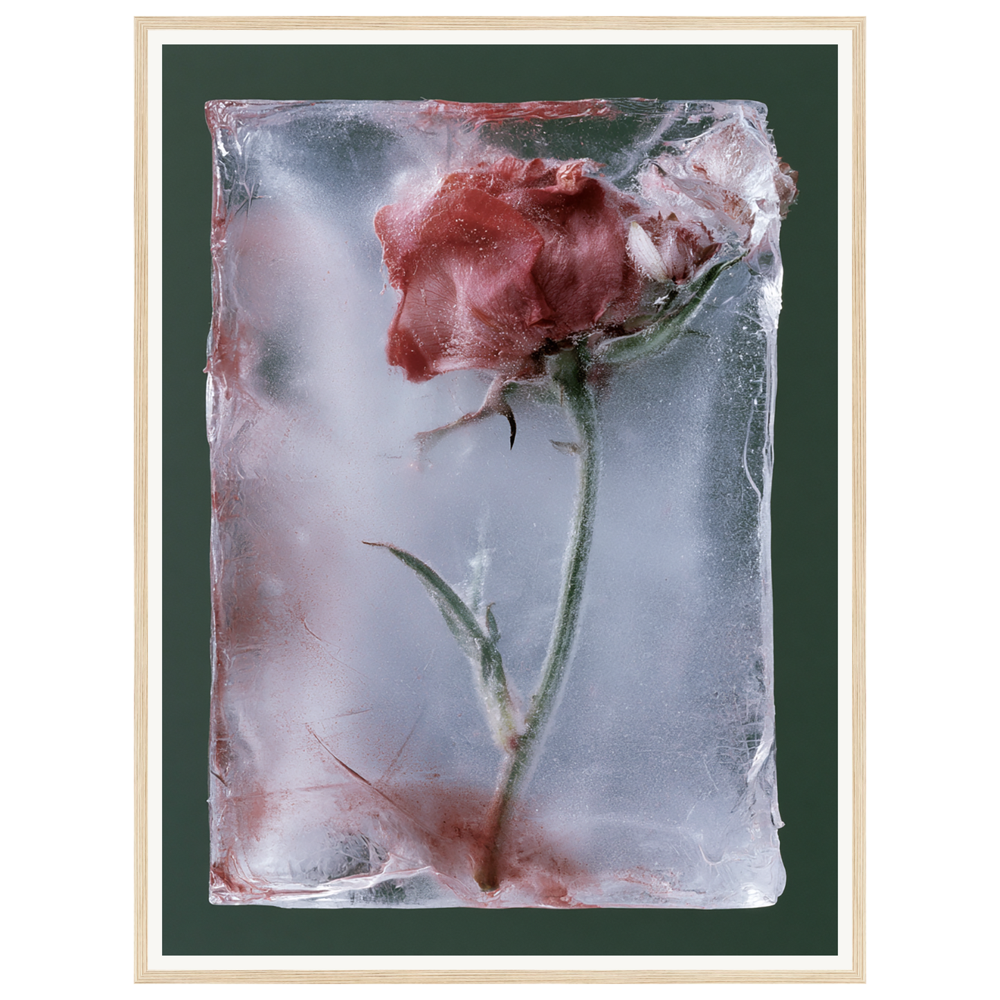 Last Bloom — s2_framed_wood