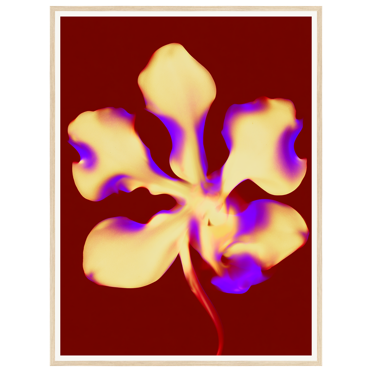Golden Petal — s2_framed_wood