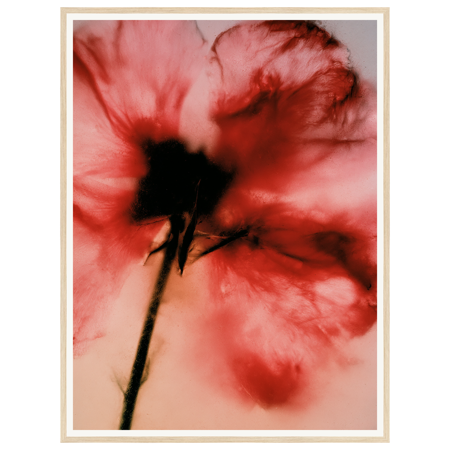 Crimson Whisper — s2_framed_wood