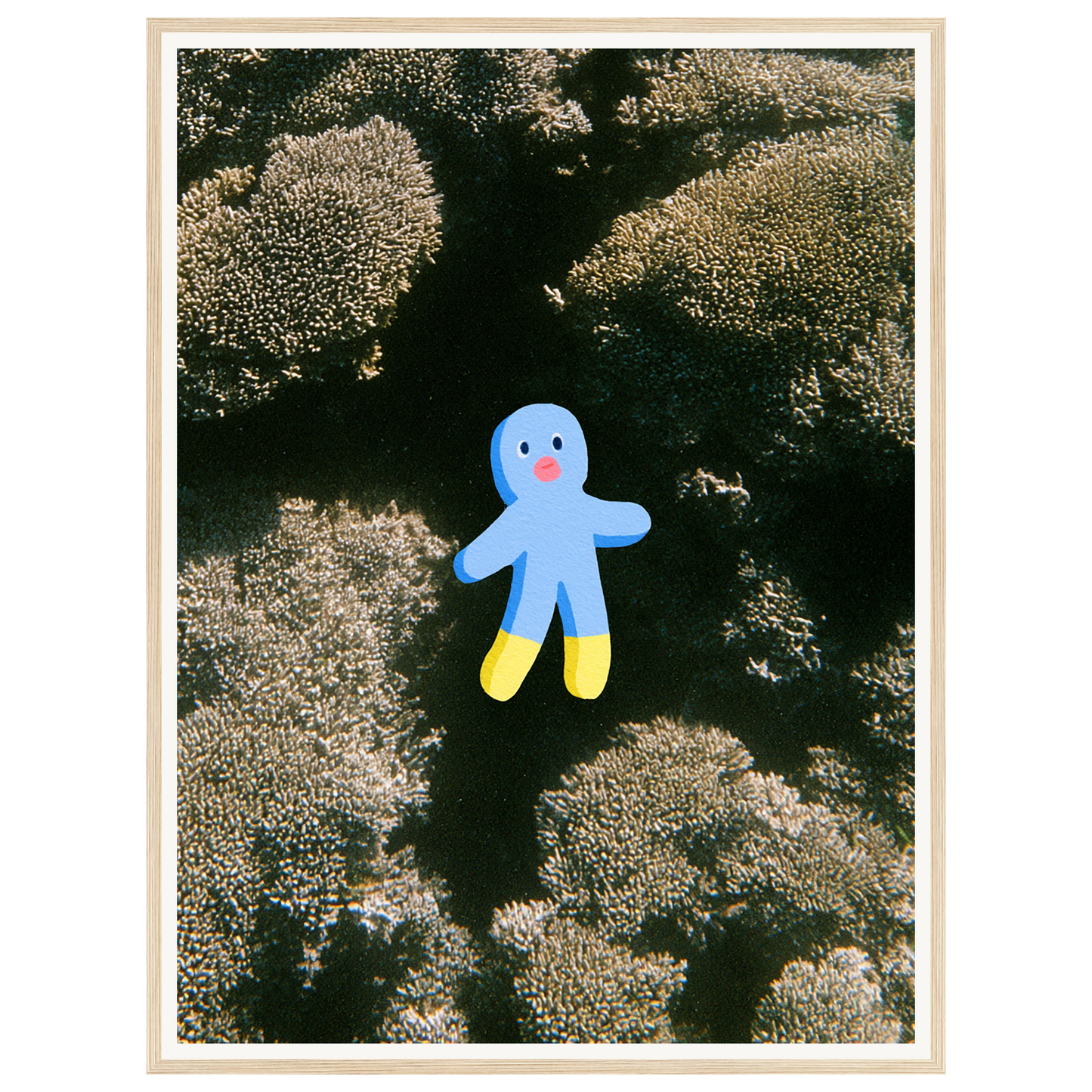Ocean Wonder — s2_framed_wood