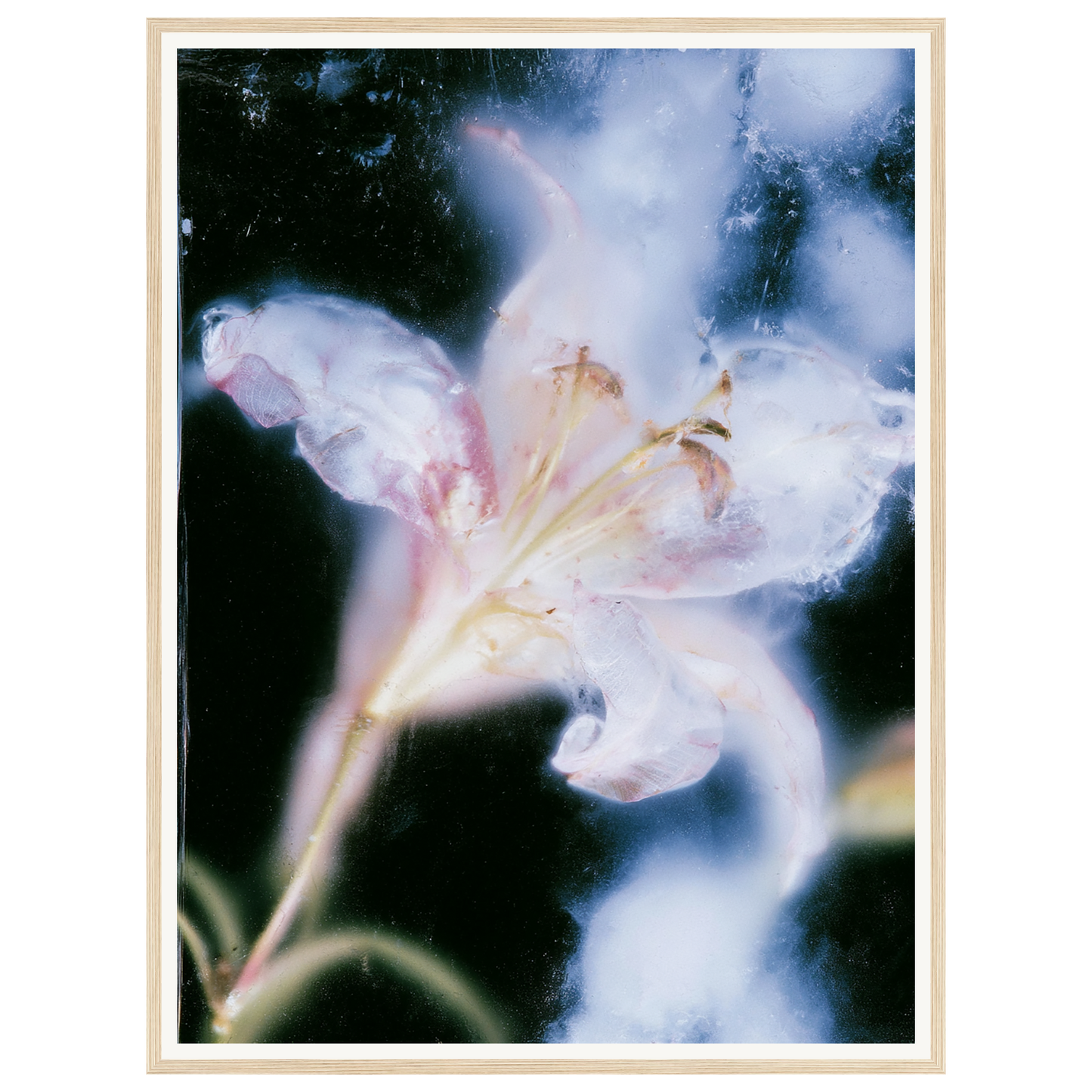Soft Light — s2_framed_wood