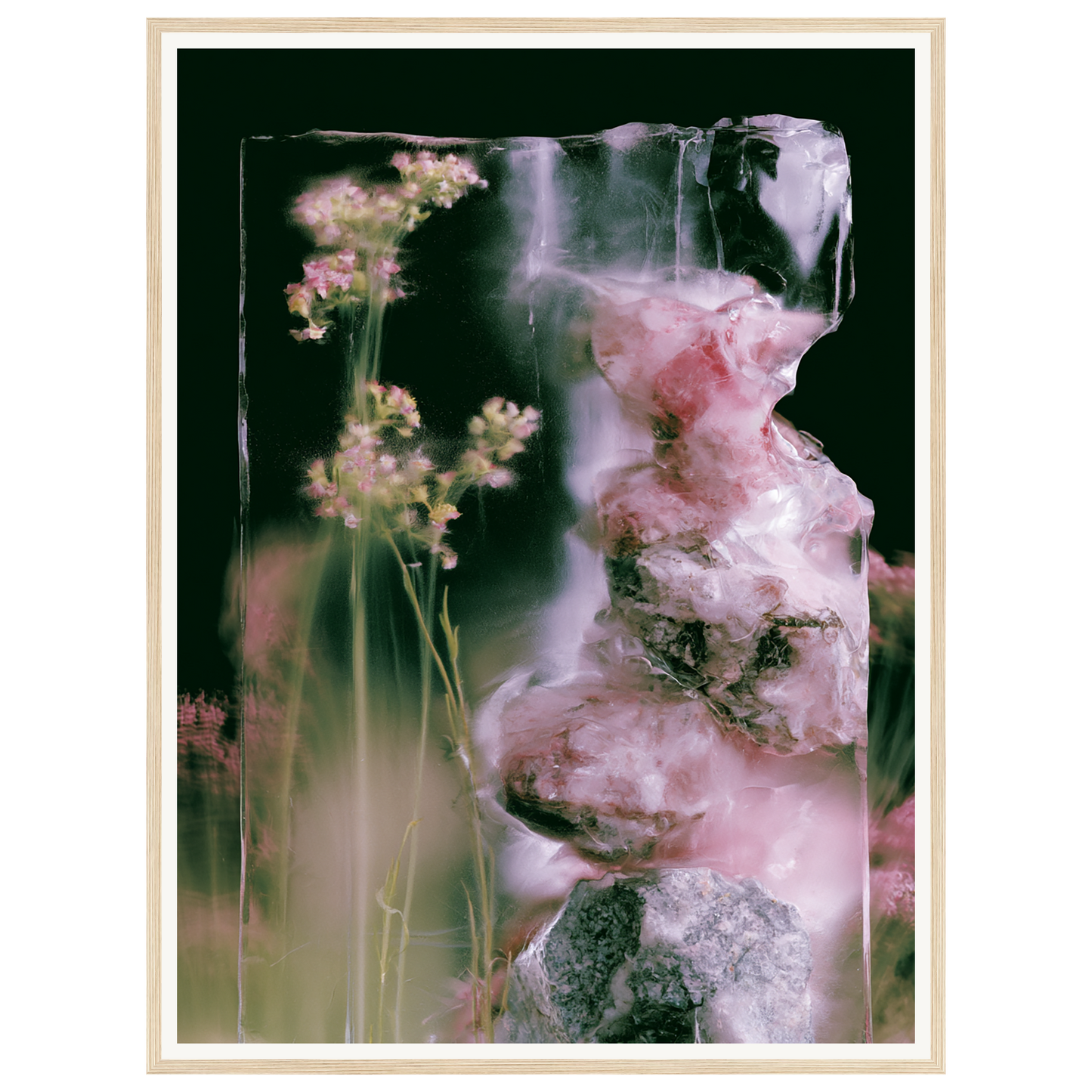 Frozen Whisper — s2_framed_wood