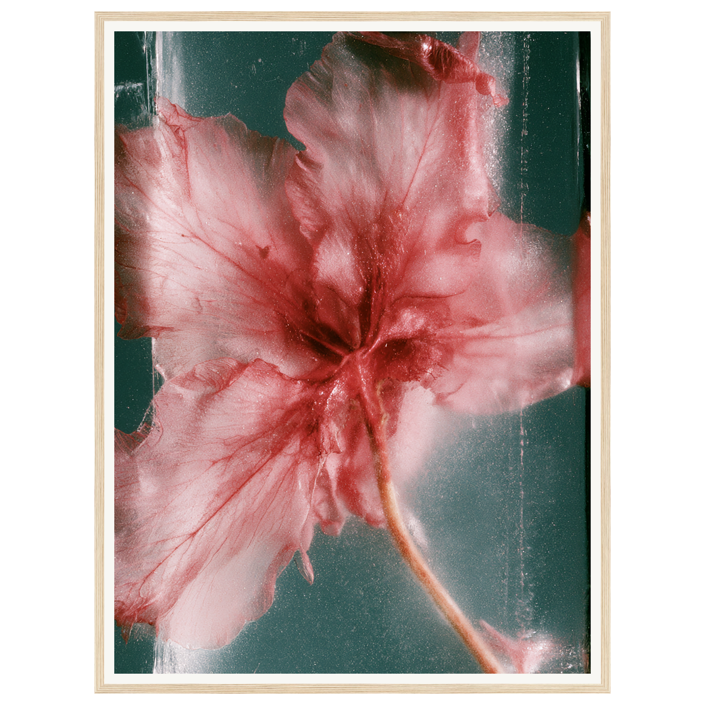 Wild Heart — s2_framed_wood