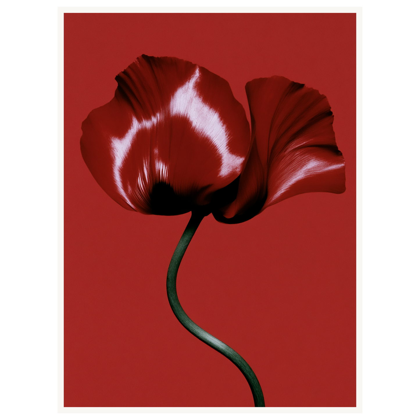 Velvet Poppy — s2_poster_none