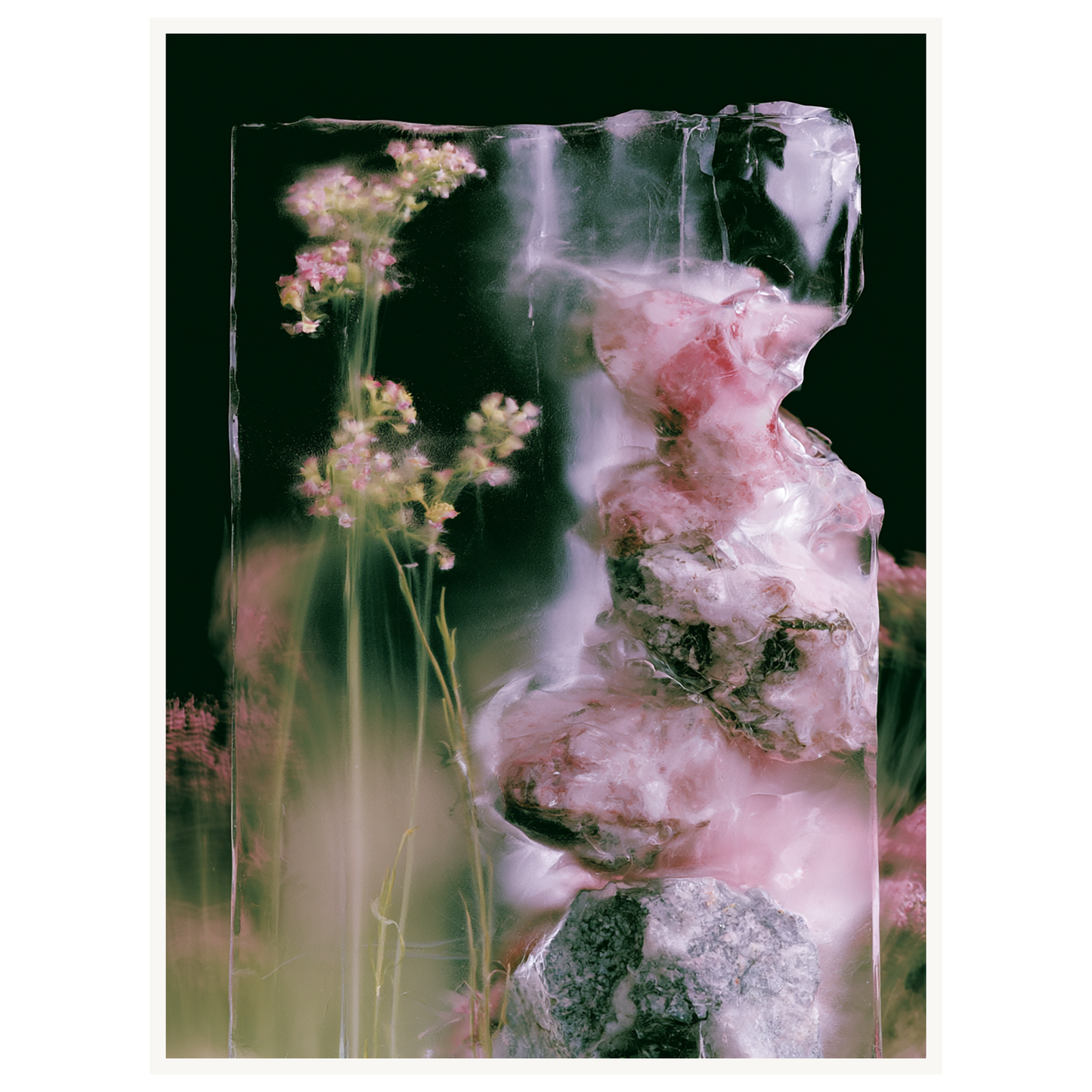 Frozen Whisper — s2_poster_none