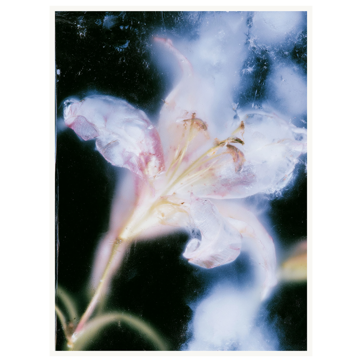 Soft Light — s2_poster_none