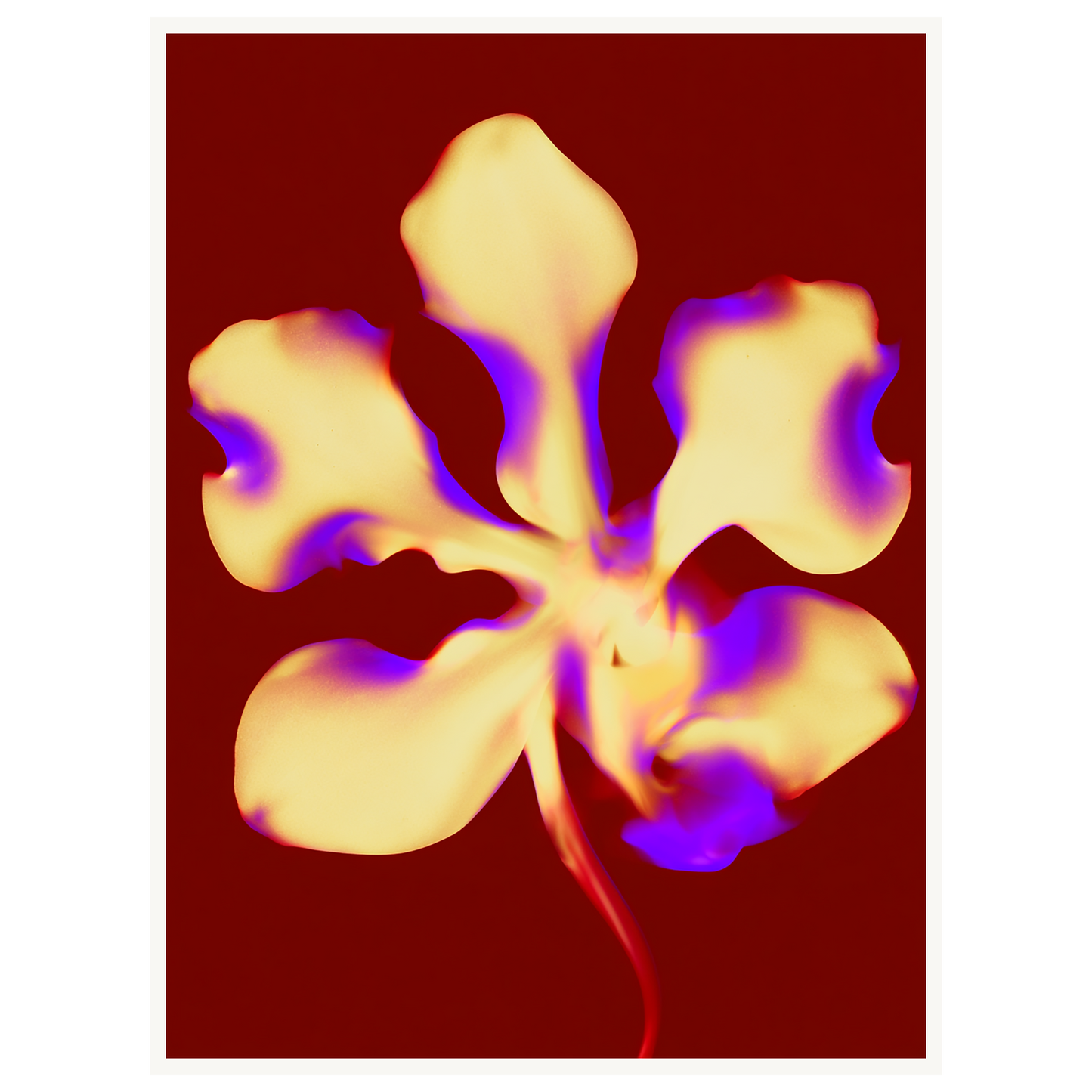 Golden Petal — s2_poster_none