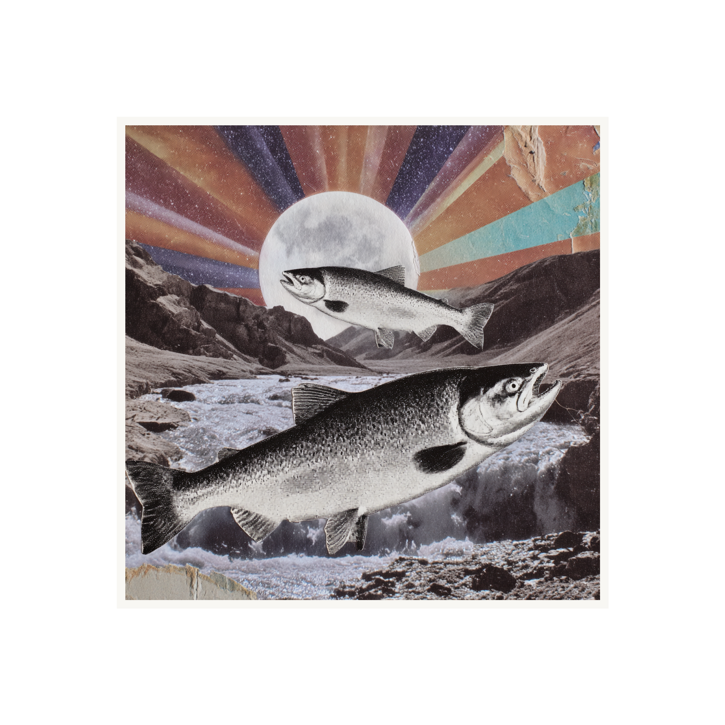 Wild Current — s2_poster_none