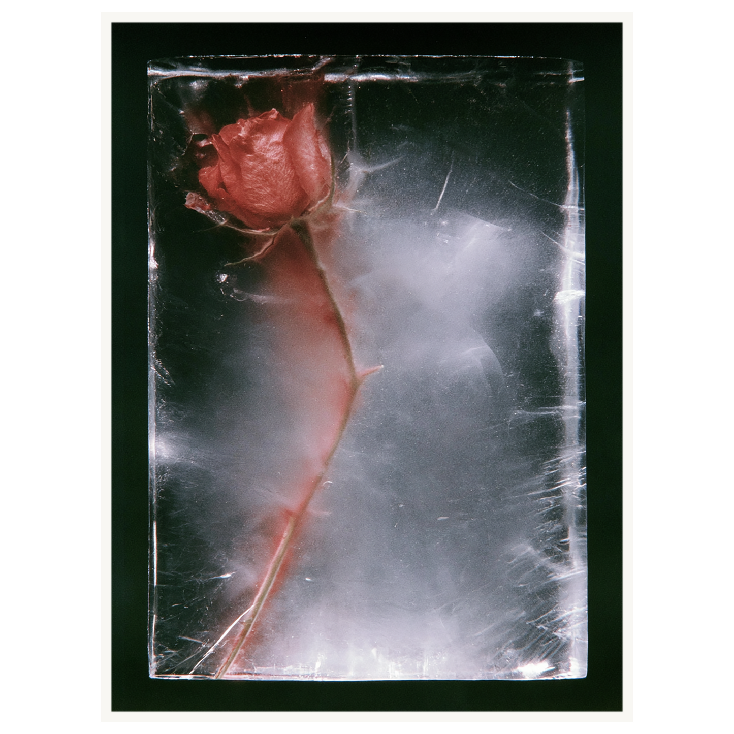 Quiet Fade — s2_poster_none