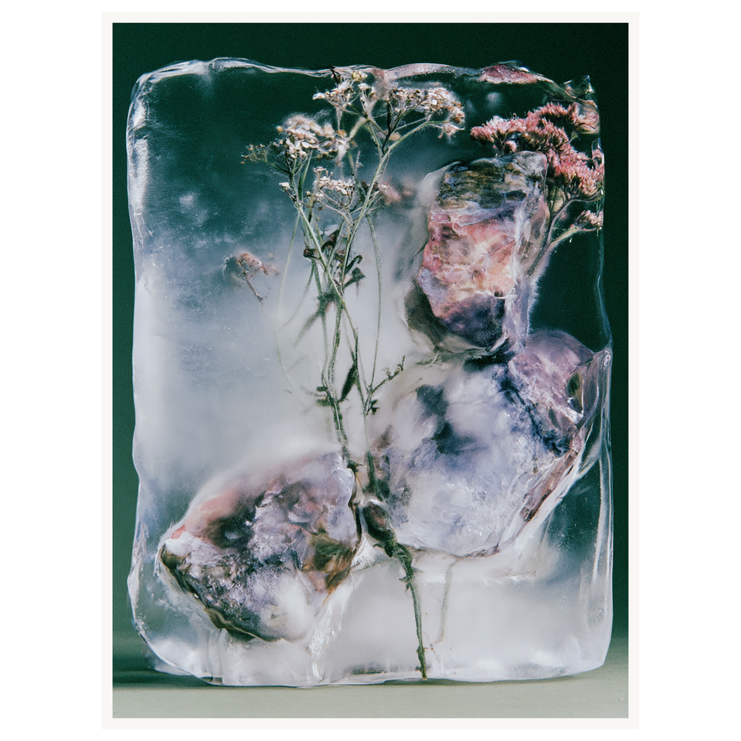 Winter Bloom — s2_poster_none