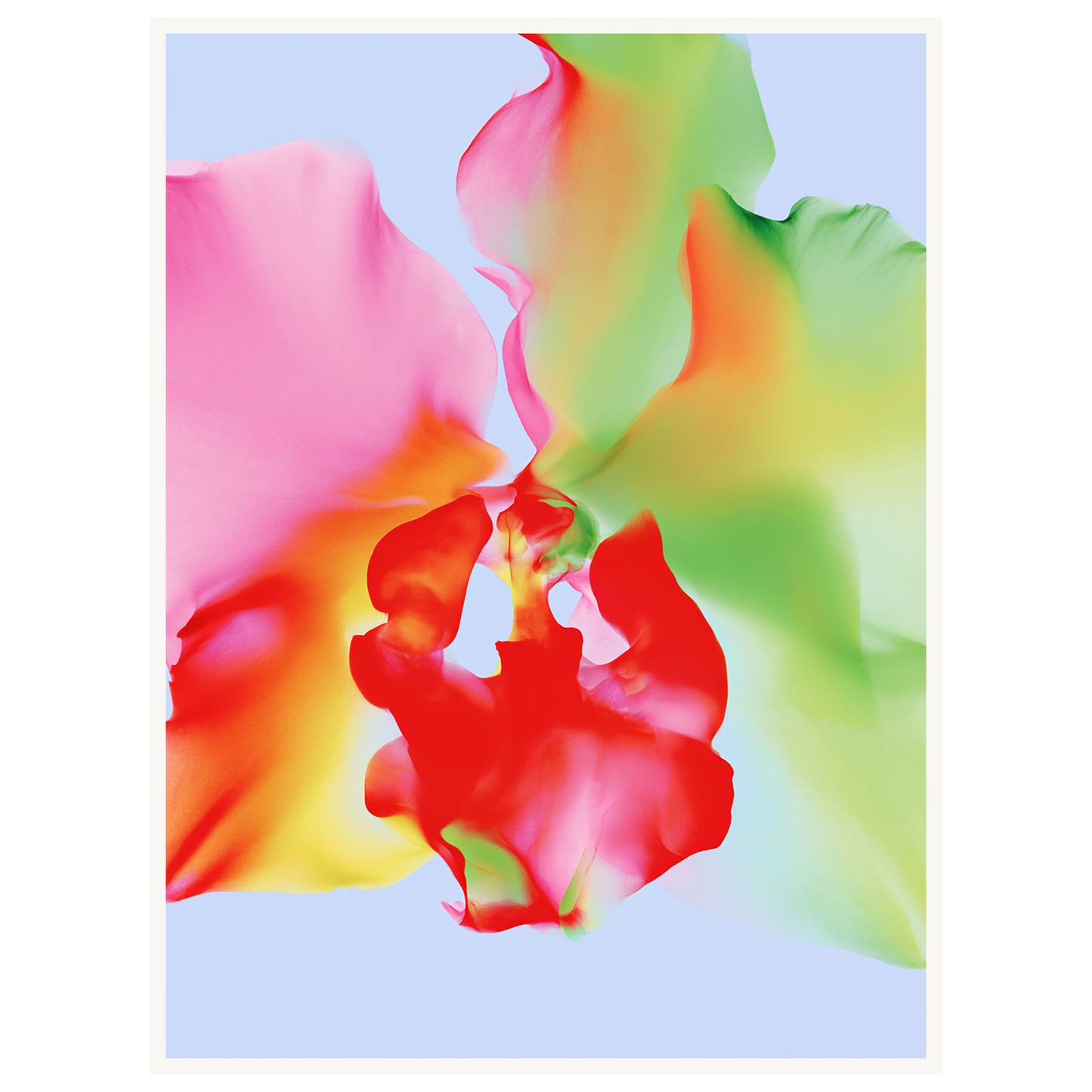 Soft Chaos — s2_poster_none