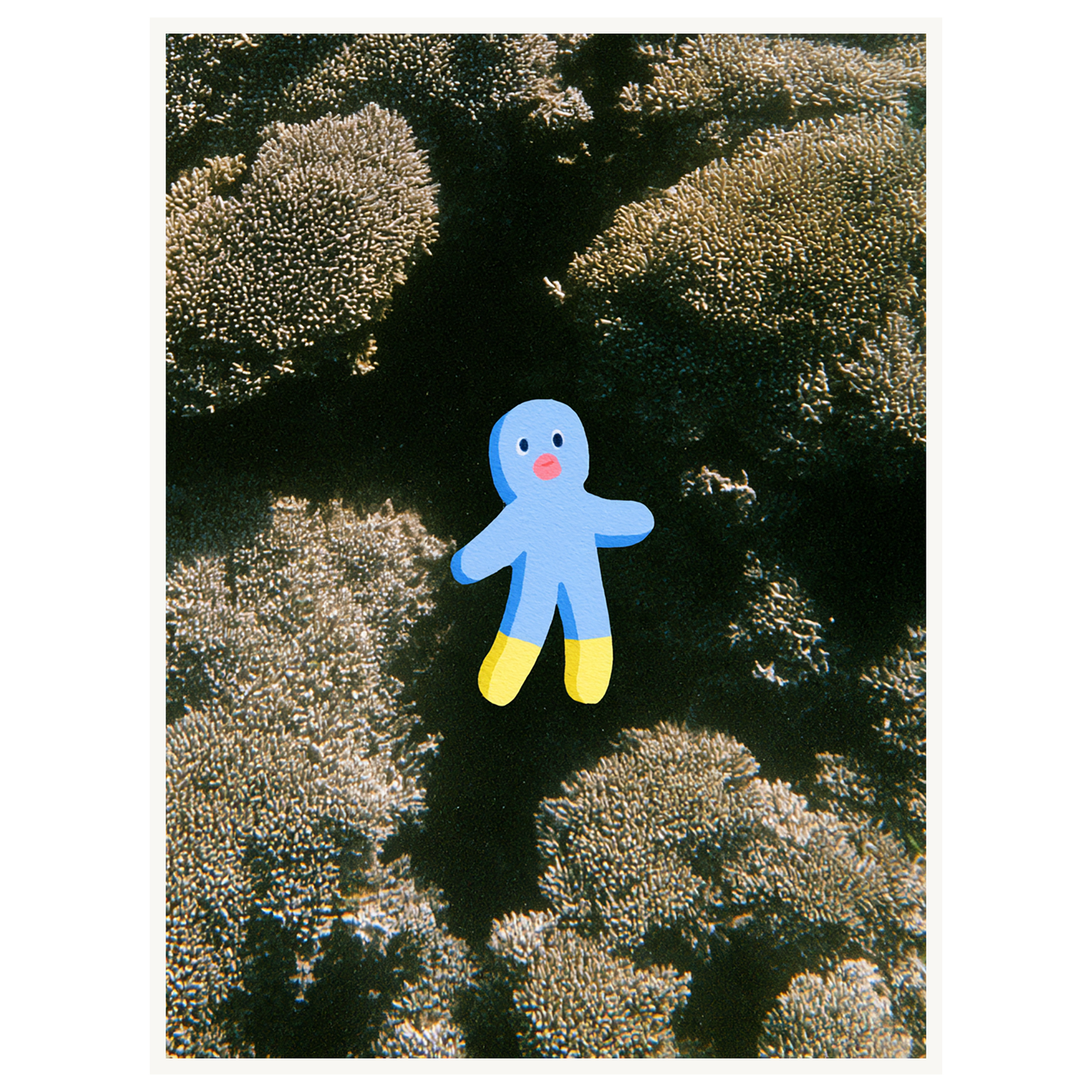 Ocean Wonder — s2_poster_none