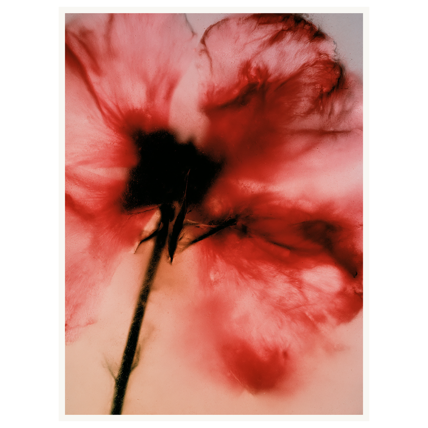 Crimson Whisper — s2_poster_none