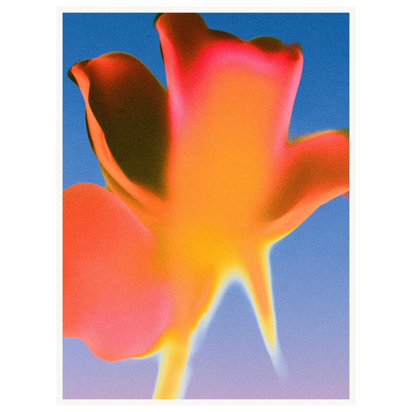Sunset Glow — s2_poster_none