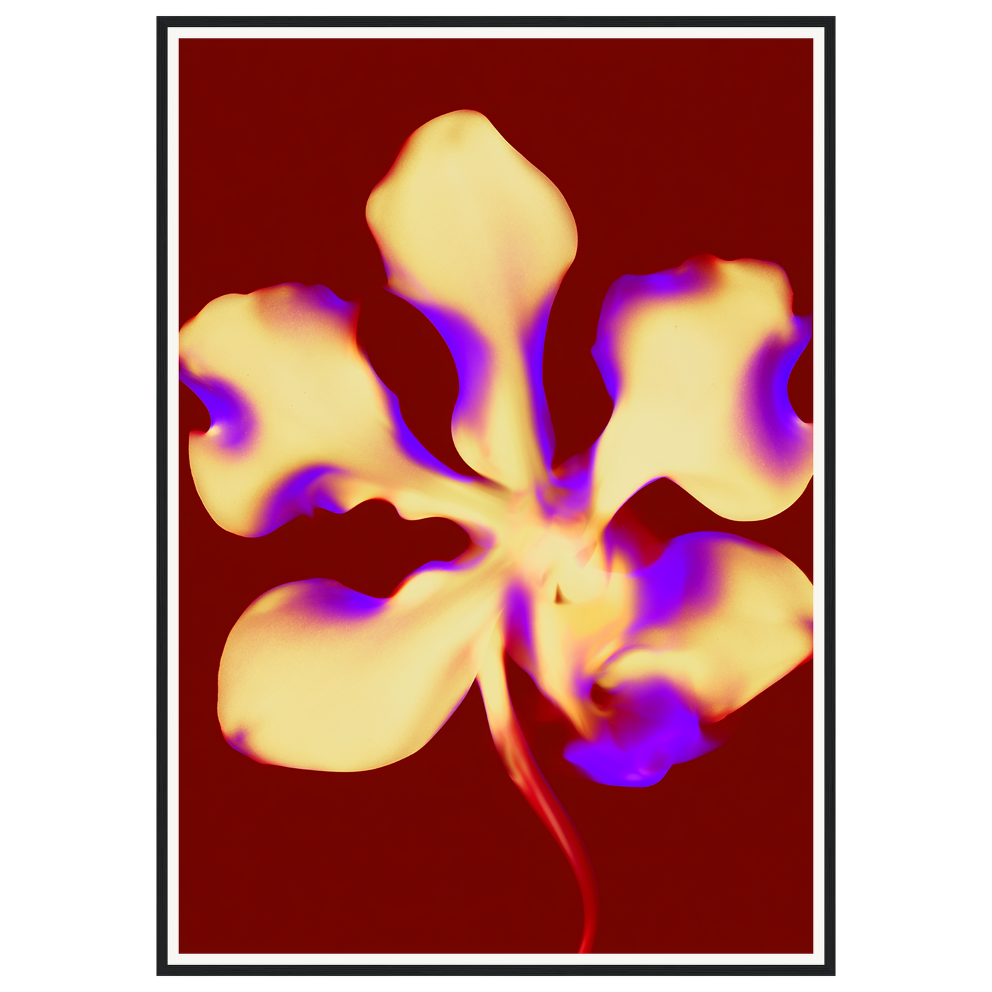 Golden Petal — s3_framed_black